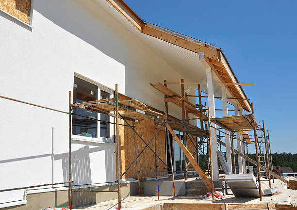 Best Mold Damage Restoration  in Kachina Village, AZ